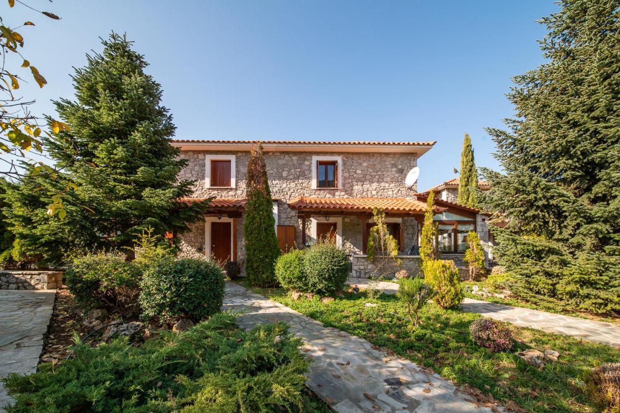 Livadi Cozy Villa Arachova Buitenkant foto